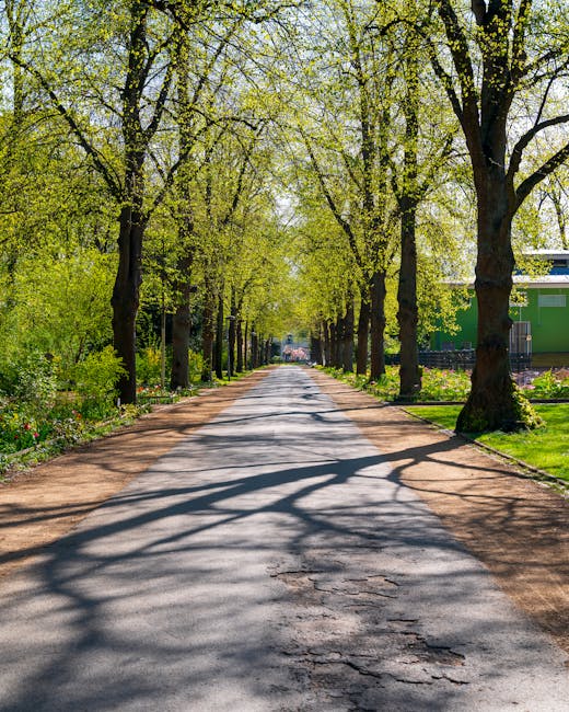 A quiet residential street lined with tall trees on both sides, their fresh green leaves creating a canopy overhead. The road is paved with asphalt, showing some minor cracks and patches, and has a narrow dirt shoulder on each side. Shadows of the trees are cast across the road, forming intricate patterns on the surface. In the distance, there is a green building partially visible on the right side, suggesting a local community or property nearby. The scene is well-lit with natural daylight, highlighting the vibrant spring foliage. This setting could be part of a suburban neighbourhood undergoing a home relocation or moving process, with the peaceful street providing suitable access for a removals team preparing to load furniture and boxes onto their vehicle, such as a van used by Man with Van Kidbrooke, for efficient transportation.
