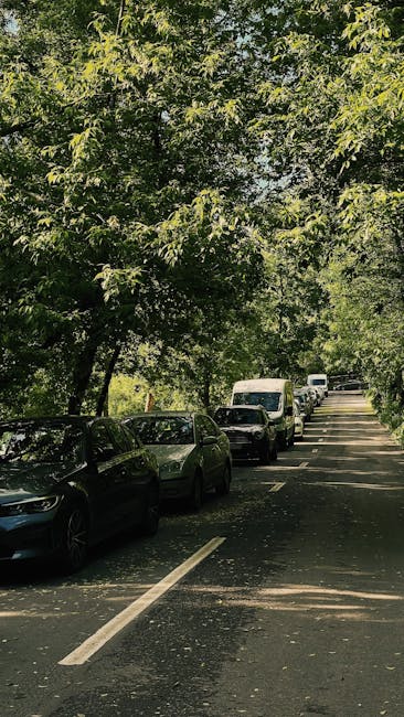 A line of parked cars along a tree-lined street with dense green foliage overhanging the pavement. The vehicles include a variety of models, such as a dark-colored sedan and a white van, positioned parallel to the curb. The street appears to be part of a residential area, with parking spaces designated by white lines on the asphalt. At the edge of the property, there may be some area prepared for loading or unloading, which can be associated with home relocation and furniture transport services. Man with Van Kidbrooke would typically advise on parking and permits in such environments for seamless moving logistics. The ambient lighting indicates daytime, with sunlight filtering through the leafy canopy, creating dappled shadows on the street surface, which is relatively clean and free of debris.